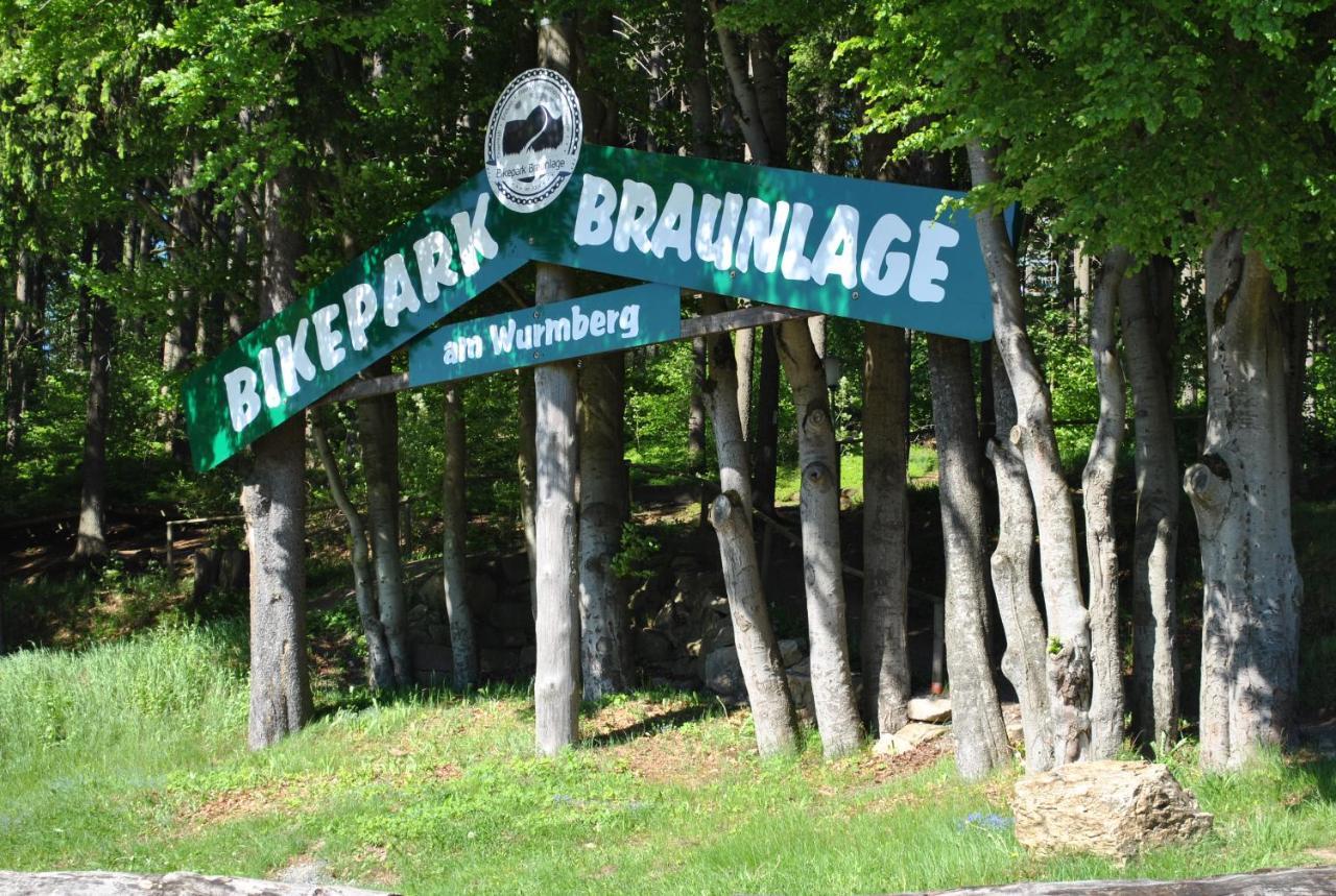 Appartement Harz-Rose à Braunlage Extérieur photo