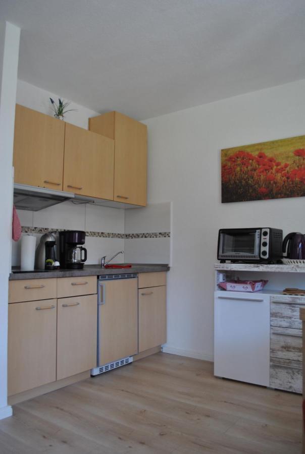 Appartement Harz-Rose à Braunlage Extérieur photo