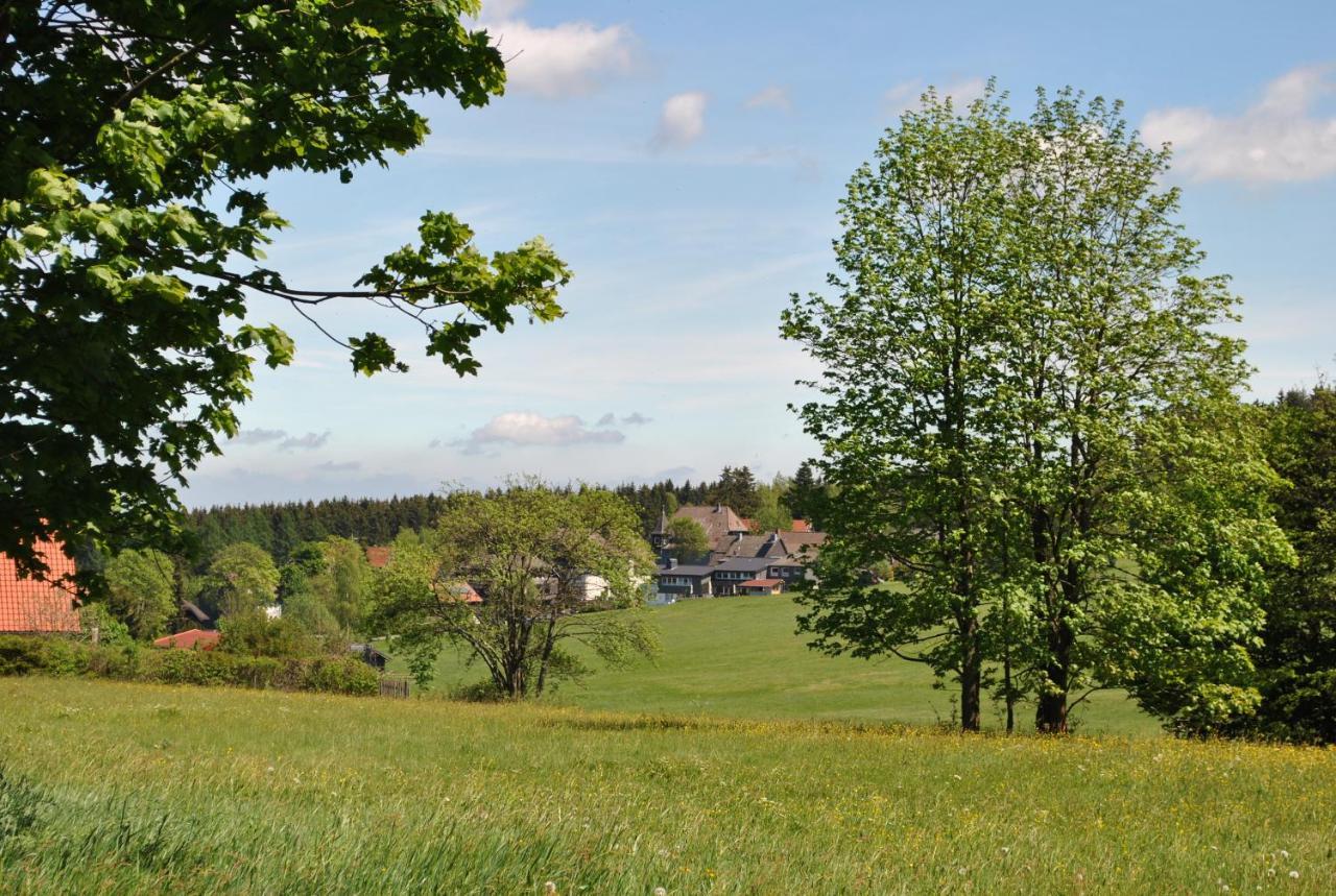 Appartement Harz-Rose à Braunlage Extérieur photo