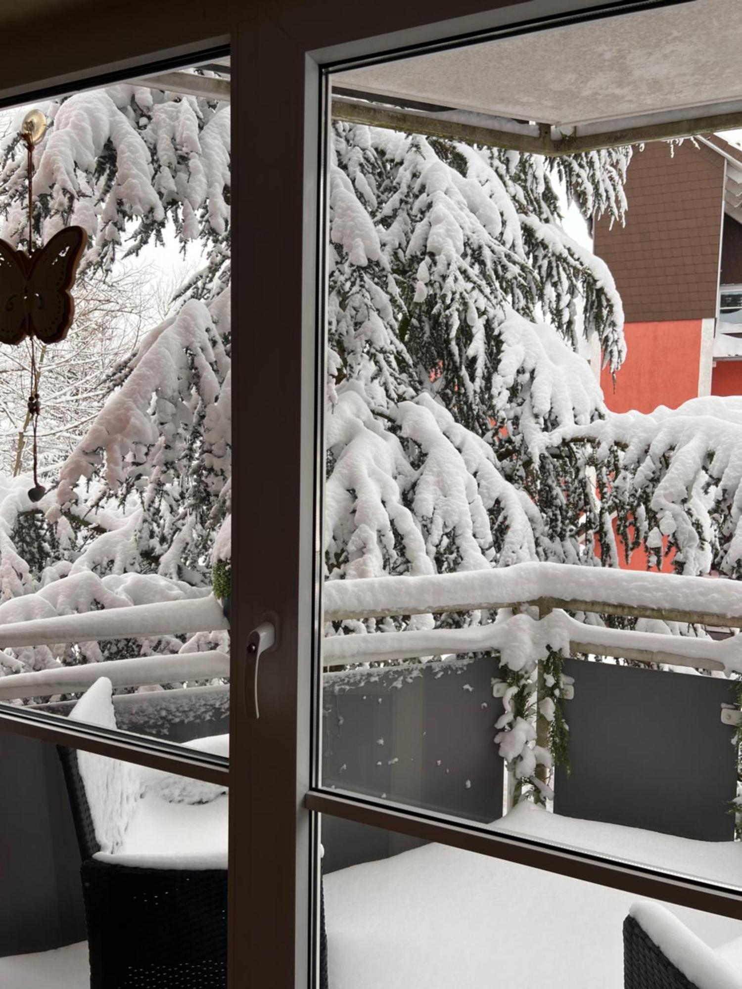 Appartement Harz-Rose à Braunlage Extérieur photo